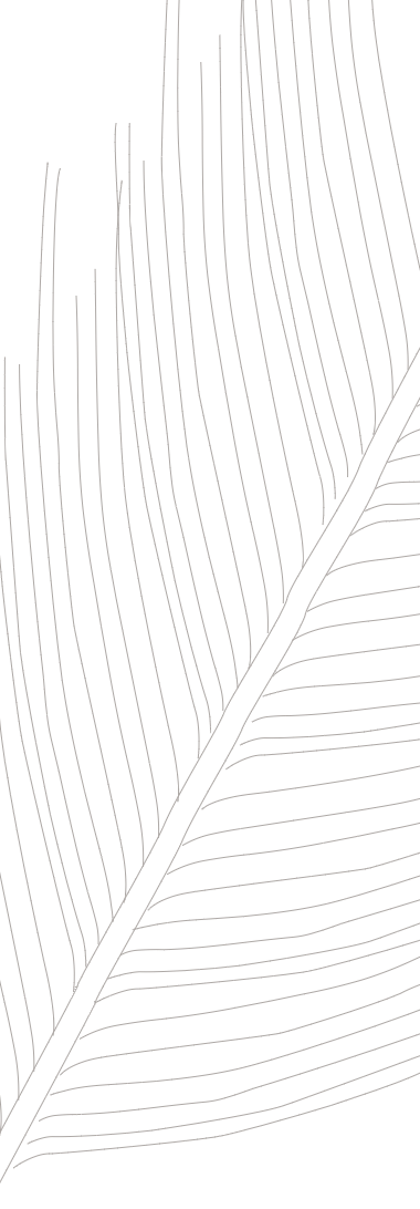 pattern leaf